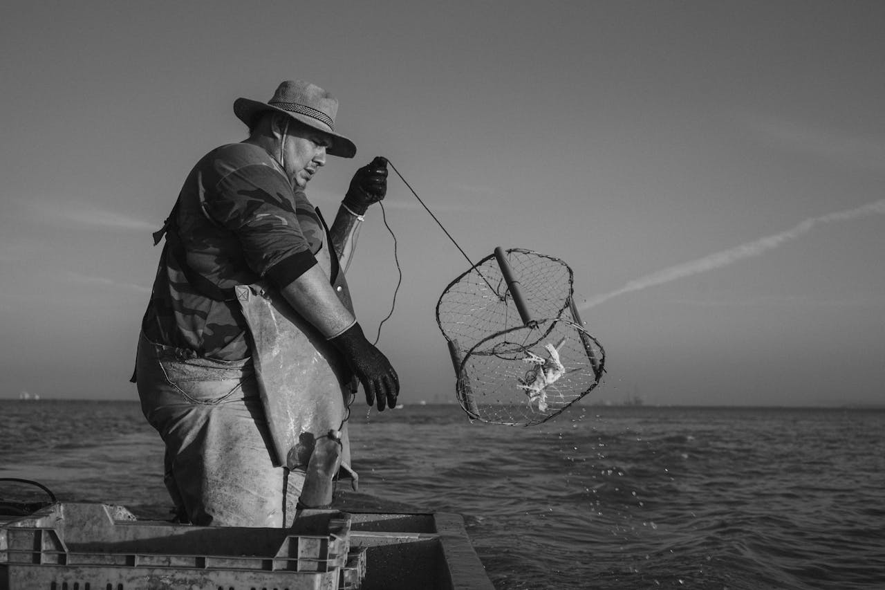 pexels photo 36230774.jpeg