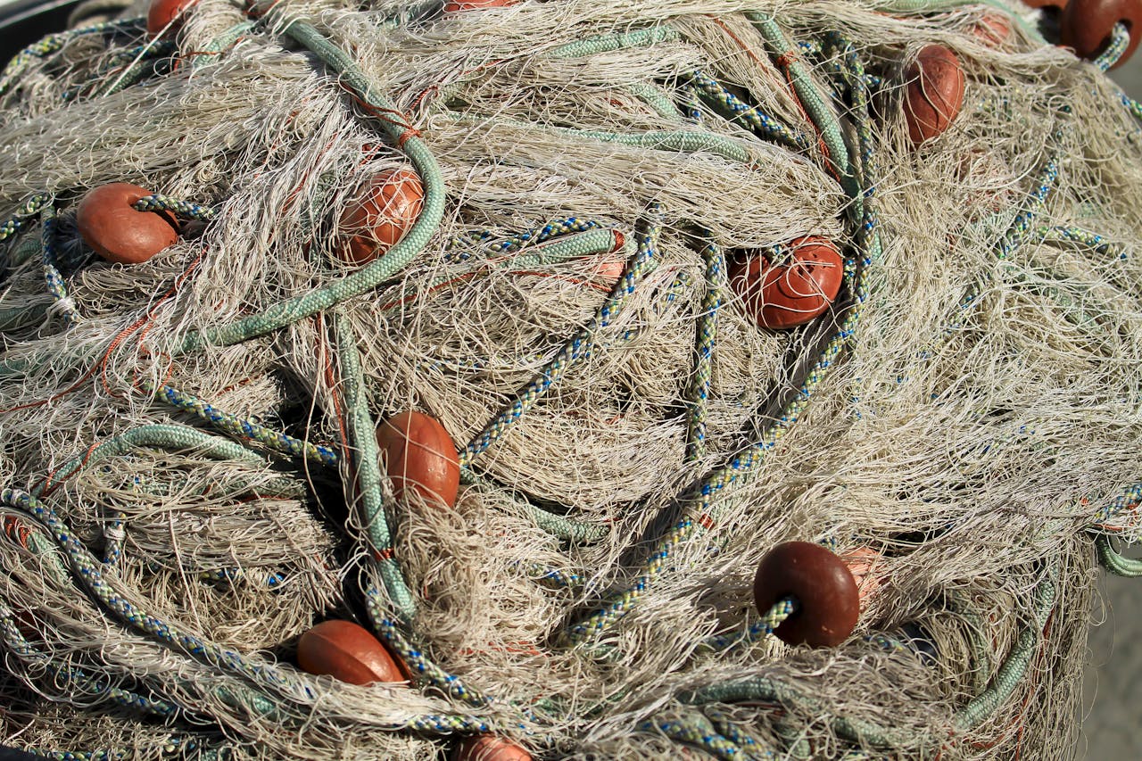 pexels photo 5632706.jpeg